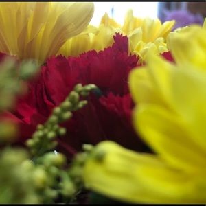 Meet your Posher, Laney